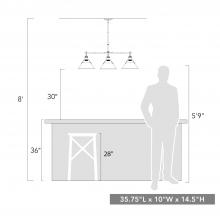 3306-LP BCB-CH_scale.jpg